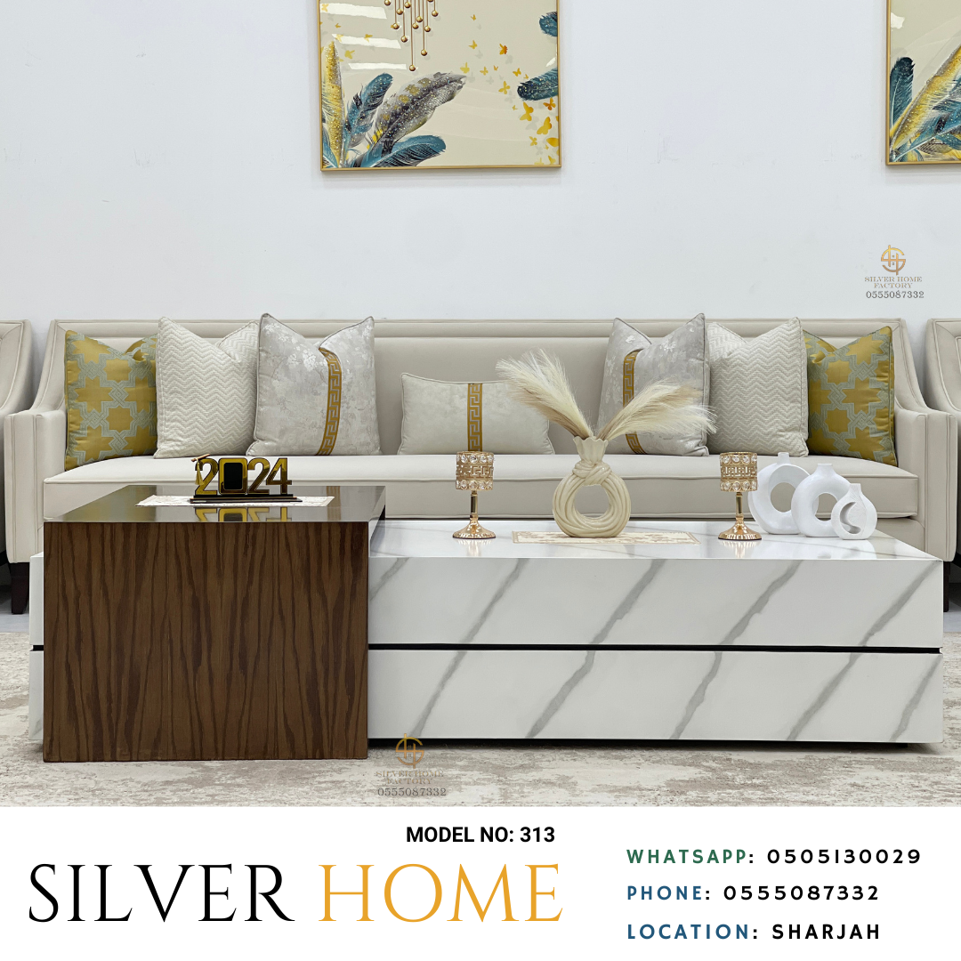 New classic collection model  313